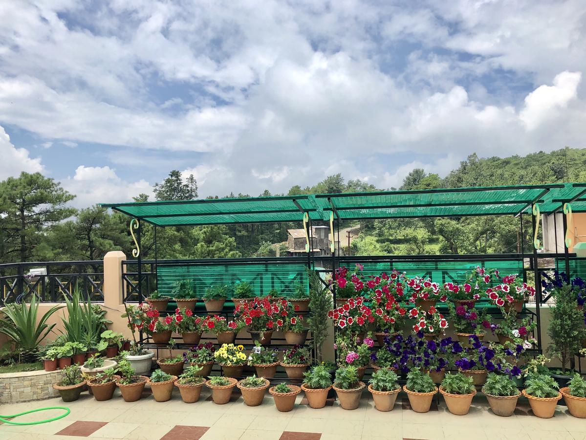 Orange Homestay Shillong Luaran gambar