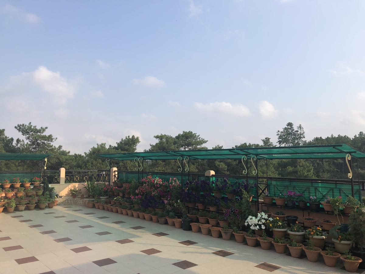 Orange Homestay Shillong Luaran gambar